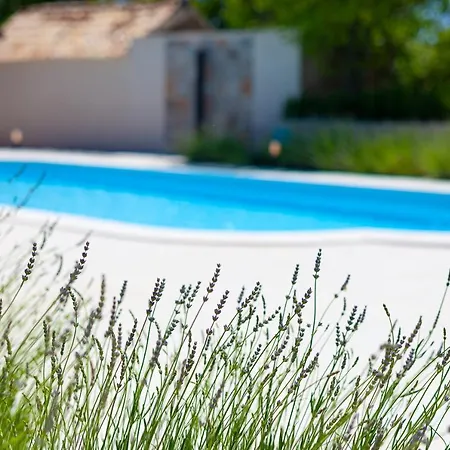 Luxury Marija - Rustic With Pool And Sauna Vila Skradin