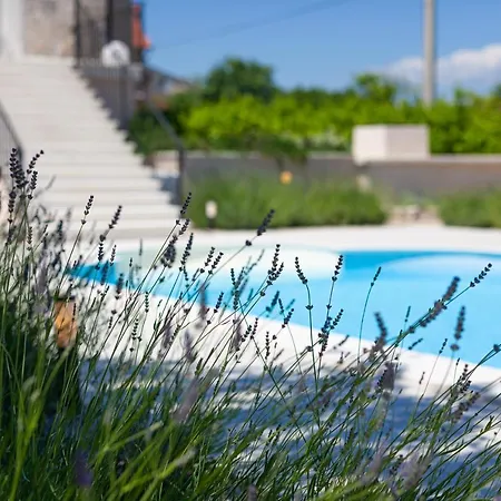 Vila Luxury Marija - Rustic With Pool And Sauna Skradin